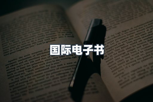 国际电子书